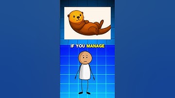 #quizchallenge  #riddle #challenges #funyquestions #brainteaser #funnytestanswers