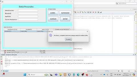 Video Explicativo Acá Final Programación Orientada a Objetos 2