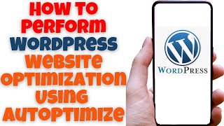 How to Perform WordPress Website Optimization Using Autoptimize