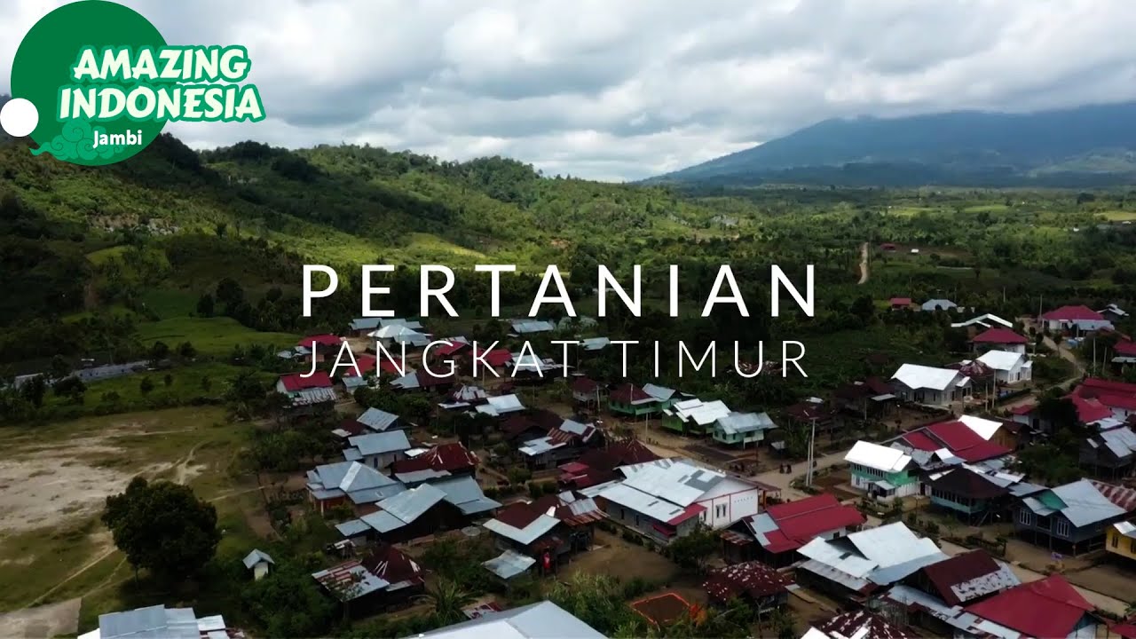 Pertanian Jangkat Timur | Amazing Indonesia Jambi