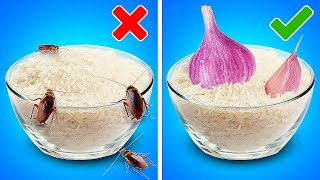 BEST HACKS TO STORE FOOD FOR LONGER || Kitchen Hacks & Tasty Recipes