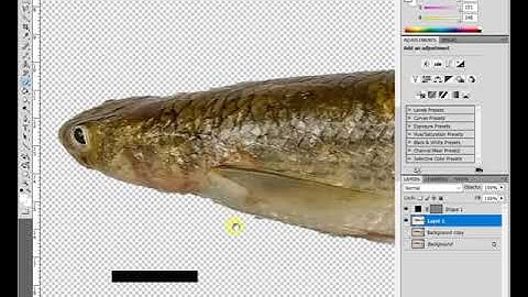 Add a scale bar into a photo and combine multiple photos