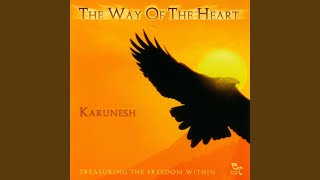 Video thumbnail of "Karunesh - The Wanderer"