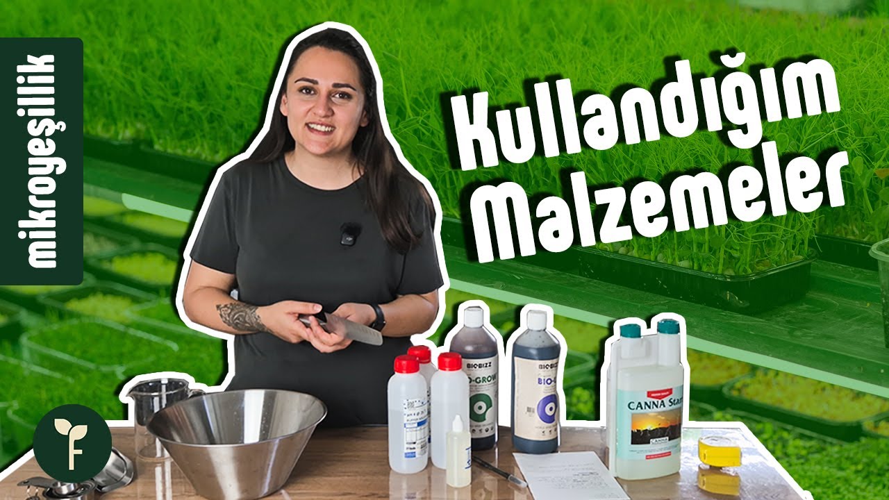 Profesyonel Mikro Yeşillik Yetiştirme Ekipmanları | Verimli Sistem Kurulumu (A'dan Z'ye Rehber)