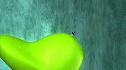 Protein Modification (Golgi)