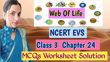 NCERT EVS {Quiz } Class 3 Chapter 24  {Web of Life } MCQs Worksheet Solution Test Yourself Revision