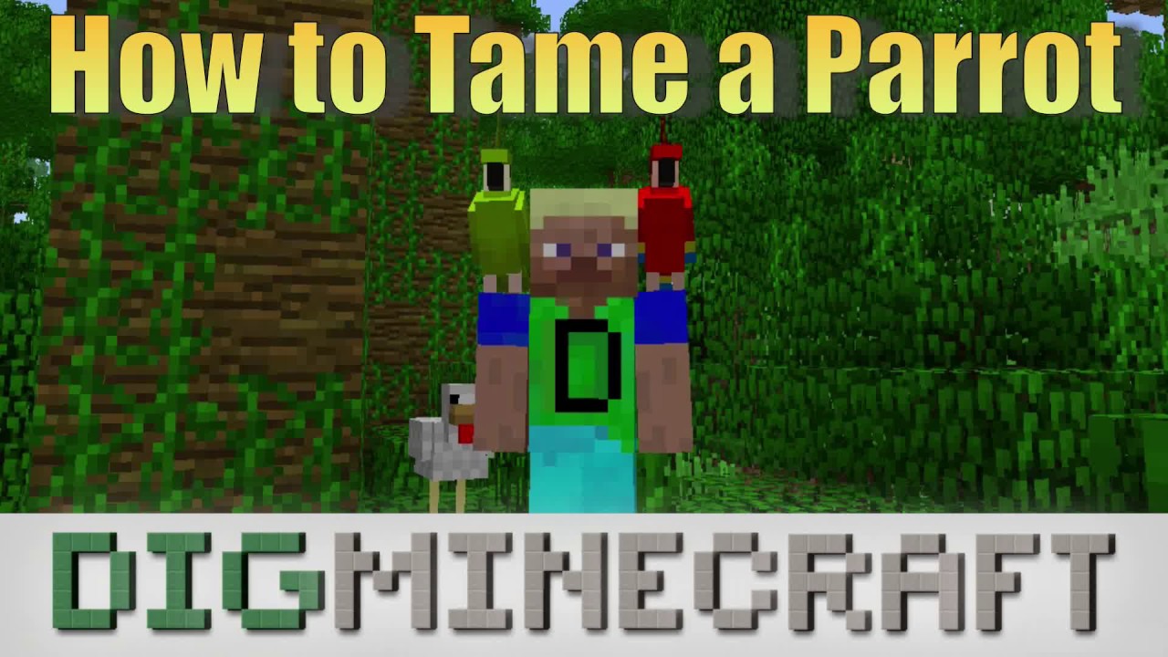 How to tame a Parrot in Minecraft - YouTube