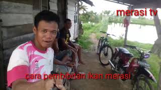Petani Ikan Kerendi Merasi Tv