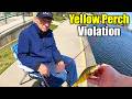 Single Yellow Perch Leads to Hefty Fine