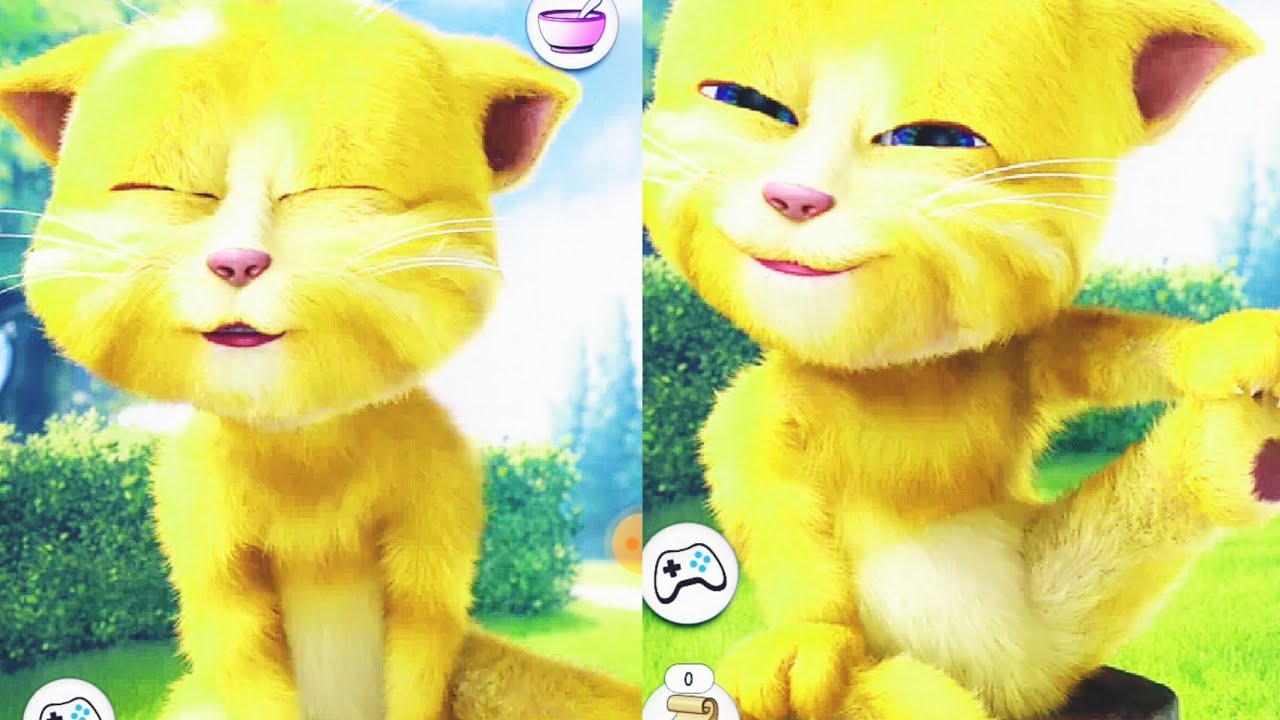 Talking GingerFunny moments talkingtom funnyvideo cartoon 