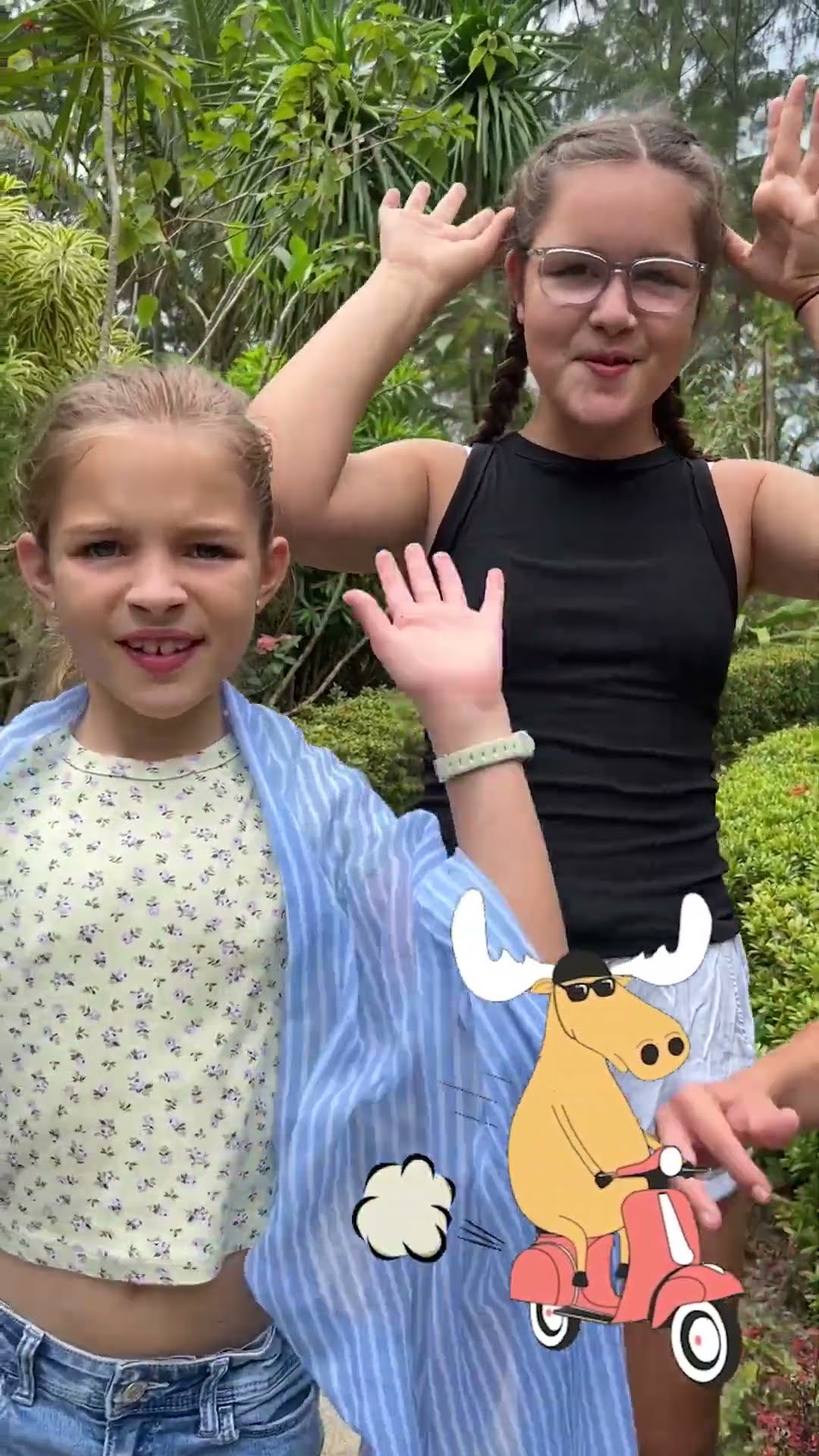 Da Moose #kidssong