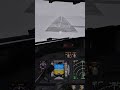 Levelup B737-800 V2 Landing #xplane12 #aviation #xplane