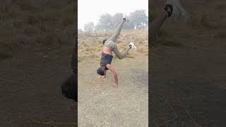 tutorial Human Flag just 9 step #motivation vishdeepworkout #gym boy