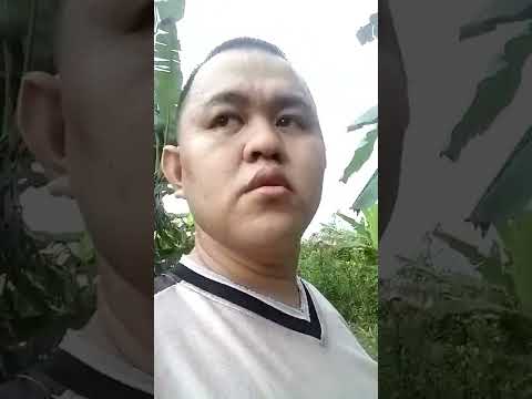 Jerome ak linggoh