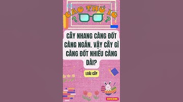 Câu Đố Vui Nhộn: Thử Thách Tư Duy Logic Của Bạn p17 | Cao Thủ IQ #caudovui  #dovui  #quiz #giaitri