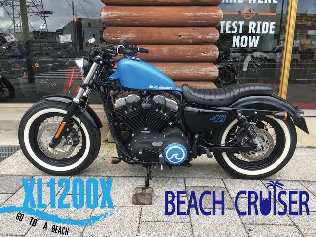 【引取限定】ハーレーダビッドソン　ビーチクルーザー　26㌅ レインボー ビーチクルーザー】26インチ スペシャル仕様 | 神奈川県