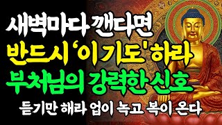 새벽에 자꾸 깨는 이유! 부처님의 강력한 신호ㅣ이 염불을 꼭 읊으세요 #부처님말씀 #염불 #불교명언 #불면증