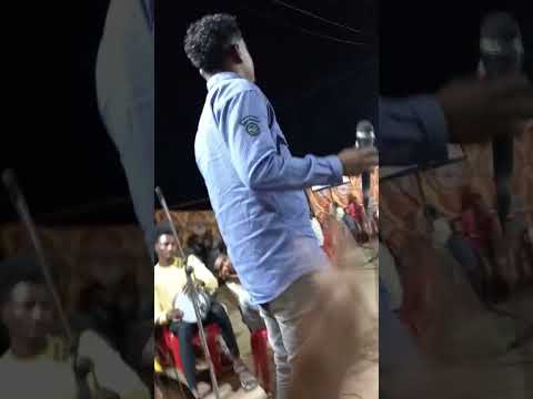 الفنان عمر احمد عبيد الناس في كوم وبراك في كوم