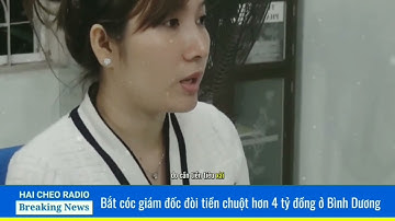 Bắt cóc giám đốc đòi tiền chuộc hơn 4 tỷ đồng ở Bình Dương | Hai Cheo Radio