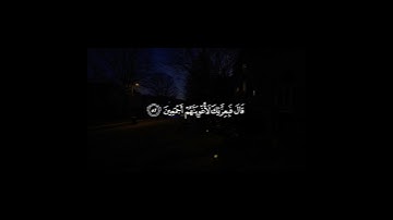 تلاوة جميلة بصوت الشيخ عاصم اللحيدان #shots #اكسبلور #quran #عاصم_اللحيدان #trend