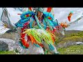 Native American Fancy War Dance / 4K HDR 1000fps