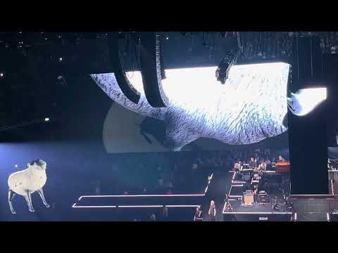 Roger Waters -