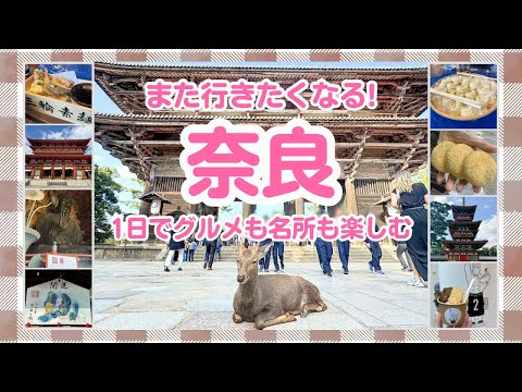 【奈良】東大寺・薬師寺・橿原神宮・ならまち・流しそうめん全部1日で楽しむ旅【グルメ】