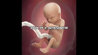 Java e 14 e Shtatzanise. Cfare pritet te ndodhe gjate kesaj jave?