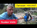 ПИТАХАЯ НА ЗАВТРАК / ВЕЛОПУТЕШЕСТВИЕ / RUSLAN VERIN #48