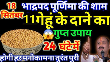18 सितंबर भाद्रपद पूर्णिमा की शाम 11 गेंहू के दाने बना देंगे आपको करोड़पति || Pradeep Ji Mishra