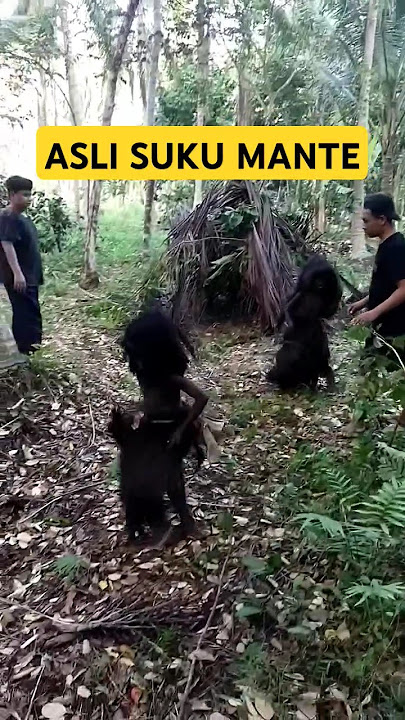 SOSOK ASLI SUKU MANTE PENGHUNI HUTAN KAWASAN