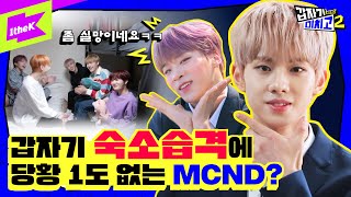 🐣잔망미 충전🐥 MCND(엠씨엔디) 숙소에 무작정 잠입했다고? 미치고🏫 개학부터 반장선거까지! | 갑자기 미치고2 EP.1 | MCND's Crazy School 2