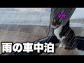 【猫と車中泊】雨の降る海岸線の道の駅で車中泊|車中飯や就寝中の飼い主のいびきもお楽しみ下さい|キャンピングカーのようにDIYしたハイエースで南房総2泊目