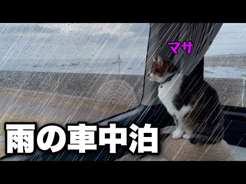 【猫と車中泊】雨の降る海岸線の道の駅で車中泊｜車中飯や就寝中の飼い主のいびきもお楽しみ下さい｜キャンピングカーのようにDIYしたハイエースで南房総２泊目