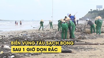 2.000 người xắn tay dọn rác 1 giờ, Bãi Sau Vũng Tàu gần như sạch bóng