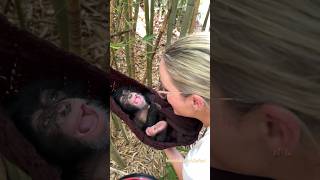 Happiest baby ❤️ check out full video chimp chimpanzee monkey baby babygirl