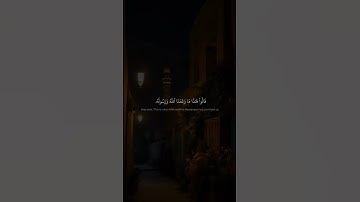 وَلَمَّا رَءَا ٱلۡمُؤۡمِنُونَ ٱلۡأَحۡزَابَ | محمد صديق المنشاوي | سورة الأحزاب