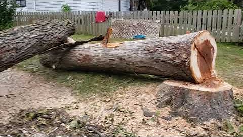 Tapered Hinge for Added Protection