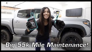 DIY'ing my Tacoma's SPARK PLUGS, POWER STEERING DRAIN/FILL, OIL CHANGE, and more!