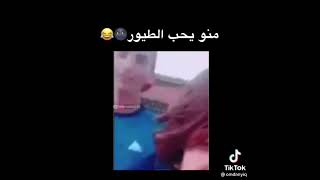 منو يحب الطيور ??لايك وشتراك بالقناه ??