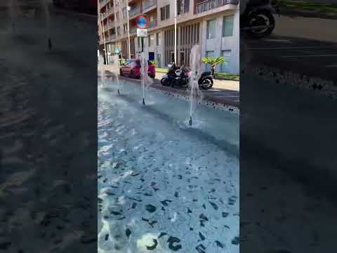 امتلة خرجت من القواعد الحيات