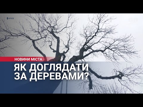 МТРК МІСТО: Як доглядати за деревами?