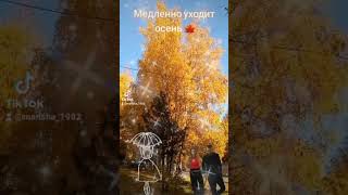 Медленно уходит осень