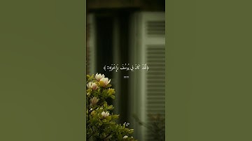 لقد كان في يوسف وإخوته ءايات للسائلين  الشيخ فارس عباد. حالات واتس اب   سورة يوسف