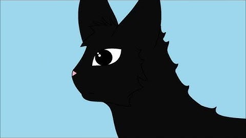 Leafpool and Crowfeather renegades MAP part 5