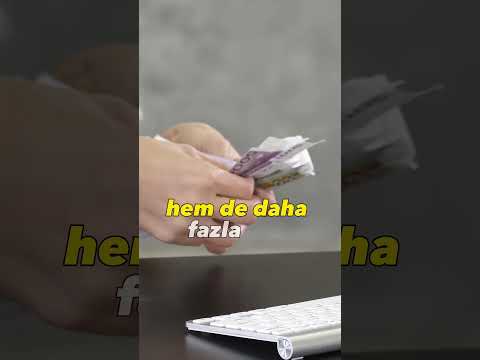 Hollandalıların Ortalama Geliri