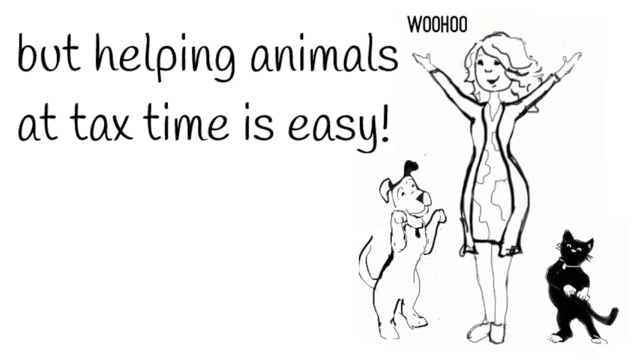 How to help animals when filing taxes in MA! YouTube
