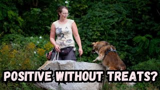 Positive Dog Training WITHOUT Treats  You Carry The Most UNDERSTIMATED Tool