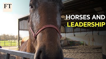 What horses can teach us about leadership | FT