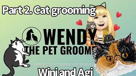 Video 4115281: persian cat, bath grooming